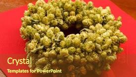  Presentation with hops - Beautiful presentation theme featuring fresh green hops backdrop and a tawny brown colored foreground