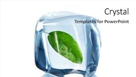  Presentation with water leaf - Audience pleasing slide deck consisting of fresh green leaf clear blue water - ice cube over white backdrop and a  colored foreground
