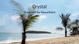  Presentation with water leaf - Beautiful presentation featuring fresh green leaf clear blue water - seascape image of beach backdrop and a light blue colored foreground