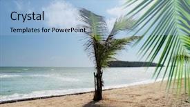  Presentation with palm tree - Theme consisting of fresh green leaf clear blue water - seascape image of beach background and a light blue colored foreground