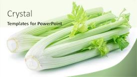  Presentation with green leaf - Colorful presentation enhanced with fresh-green-leaf-stalks backdrop and a soft green colored foreground