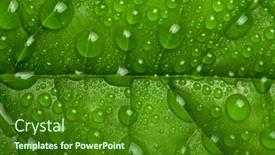  Presentation with water droplets - 