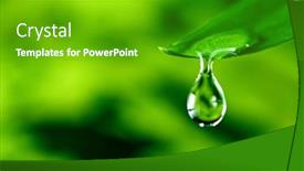  Presentation with water leaf - PPT layouts consisting of fresh-green-leaf-with-water background and a shamrock green colored foreground