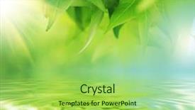 Presentation with fresh water - Presentation design enhanced with fresh green leaves over water background and a yellow colored foreground