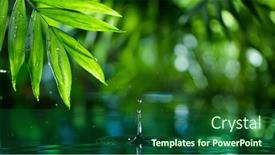  Presentation with fresh water - Cool new PPT theme with fresh-green-leaves-with-water backdrop and a forest green colored foreground
