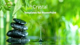  Presentation with green relaxation - PPT layouts consisting of fresh-green-leaves-with-water background and a shamrock green colored foreground