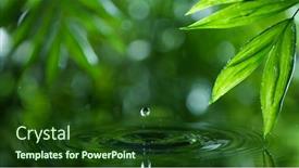  Presentation with green relaxation - Amazing PPT theme having fresh-green-leaves-with-water backdrop and a tawny brown colored foreground