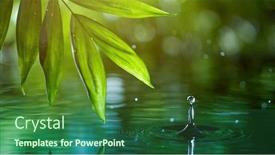  Presentation with fresh water - Beautiful presentation design featuring fresh-green-leaves-with-water backdrop and a ocean colored foreground