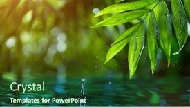  Presentation with fresh water - Slide deck with fresh-green-leaves-with-water background and a forest green colored foreground