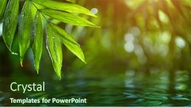  Presentation with green relaxation - Cool new PPT layouts with fresh-green-leaves-with-water backdrop and a tawny brown colored foreground