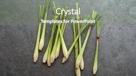  Presentation with marble - Beautiful slide deck featuring fresh green lemongrass on grey backdrop and a violet colored foreground