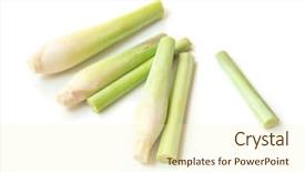  Presentation with white green - Audience pleasing PPT layouts consisting of fresh green lemongrass slices isolated backdrop and a cream colored foreground