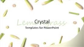  Presentation with lemongrass herb plant fresh leaves - Slide deck enhanced with fresh green lemongrass slices background and a cream colored foreground