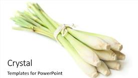  Presentation with rope - Slide deck with fresh green lemongrass tied background and a white colored foreground