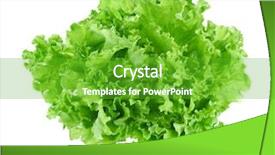  Presentation with green leaf water drops - Cool new presentation theme with fresh green lettuce leafs isolated backdrop and a shamrock green colored foreground