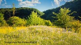  Presentation with green earth - Audience pleasing slides consisting of fresh-green-meadow backdrop and a gold colored foreground