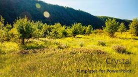  Presentation with green earth - Theme featuring fresh-green-meadow background and a gold colored foreground