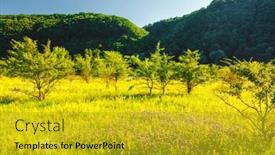 Presentation with green beauty - Audience pleasing PPT layouts consisting of fresh-green-meadow backdrop and a gold colored foreground