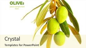  Presentation with olive branch - PPT layouts consisting of fresh green olive branch isolated background and a yellow colored foreground