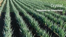  Presentation with onion - Colorful slide deck enhanced with fresh green onion field backdrop and a ocean colored foreground