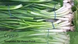  Presentation with produce stand - Presentation design consisting of fresh-green-onions-stacked-beautifully background and a seafoam green colored foreground