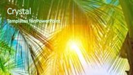  Presentation with nature sun leaves - Amazing PPT layouts having fresh green palm tree leaves backdrop and a forest green colored foreground