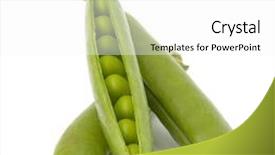  Presentation with fresh water splash green apple isolated white - PPT theme having pod isolated on white background background and a white colored foreground