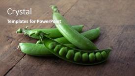  Presentation with green - PPT layouts featuring fresh-green-peas-one-open background and a gray colored foreground