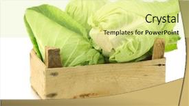  Presentation with white green - Beautiful presentation design featuring fresh green pointed cabbages in a wooden crate on a white background backdrop and a blonde colored foreground
