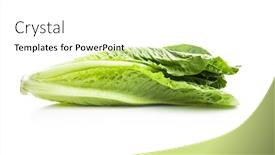  Presentation with lettuce - Audience pleasing PPT theme consisting of fresh-green-romaine-lettuce-leaves backdrop and a white colored foreground