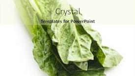  Presentation with lettuce - Theme having fresh-green-romaine-lettuce-leaves background and a soft green colored foreground