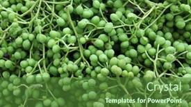  Presentation with pepper - Presentation theme enhanced with fresh-green-sansho-japanese-pepper background and a forest green colored foreground