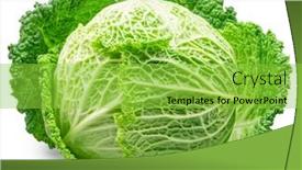  Presentation with white green - Presentation design having fresh-green-savoy-cabbage-isolated background and a  colored foreground