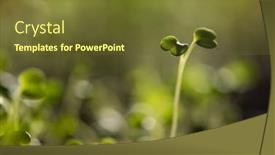 Presentation with green fresh food - Slide deck enhanced with fresh-green-seedlings-growing-healthy background and a tawny brown colored foreground