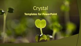  Presentation with green fresh food - Slide set consisting of fresh-green-seedlings-growing-healthy background and a tawny brown colored foreground