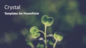  Presentation with green fresh food - Beautiful slide deck featuring fresh-green-seedlings-growing-healthy backdrop and a tawny brown colored foreground