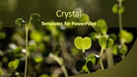  Presentation with green fresh food - PPT theme with fresh-green-seedlings-growing-healthy background and a tawny brown colored foreground