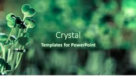  Presentation with green fresh food - Slide set featuring fresh-green-seedlings-growing-healthy background and a ocean colored foreground