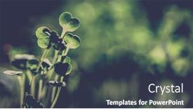  Presentation with green fresh food - Slides enhanced with fresh-green-seedlings-growing-healthy background and a tawny brown colored foreground