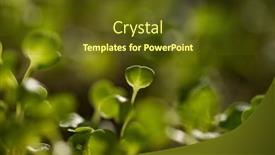  Presentation with green fresh food - Beautiful slides featuring fresh-green-seedlings-growing-healthy backdrop and a tawny brown colored foreground