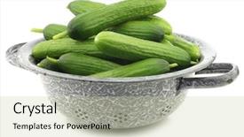  Presentation with enamel - Theme with fresh green snack cucumbers in an enamel colander on a white background background and a soft green colored foreground