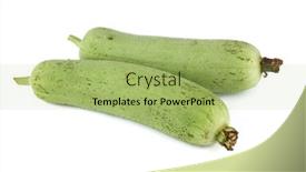  Presentation with white green - PPT layouts with fresh-green-sponge-gourd background and a mint green colored foreground