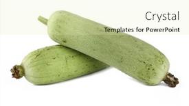 Presentation with white green - Presentation theme consisting of fresh-green-sponge-gourd background and a soft green colored foreground