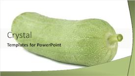 Presentation with white green - Theme having fresh-green-sponge-gourd background and a mint green colored foreground