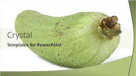  Presentation with white green - Slides consisting of fresh-green-sponge-gourd background and a mint green colored foreground