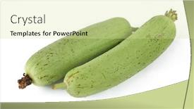  Presentation with angled loofah sponge gourd - PPT theme having fresh-green-sponge-gourd background and a soft green colored foreground