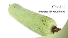  Presentation with white green - Theme enhanced with fresh-green-sponge-gourd background and a white colored foreground