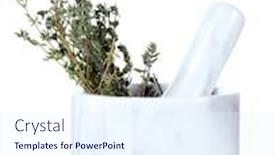  Presentation with white green - Amazing slides having fresh-green-thyme-in-mortar backdrop and a sky blue colored foreground