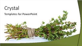  Presentation with thyme - Colorful presentation enhanced with fresh green thyme isolated backdrop and a white colored foreground