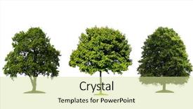  Presentation with white green - Colorful presentation design enhanced with fresh green trees isolated backdrop and a blonde colored foreground